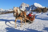 Schlerngebiet / Seiser Alm 4 Skinet