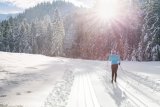 Verbier / Les Quatre Vallées 4 Skinet