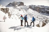 Madonna di Campiglio / Pinzolo / Folgarida-Marilleva 1 Skinet