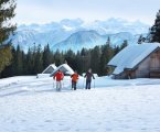 Salzkammergut 3 Skinet