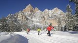 Alta Badia 3 Skinet