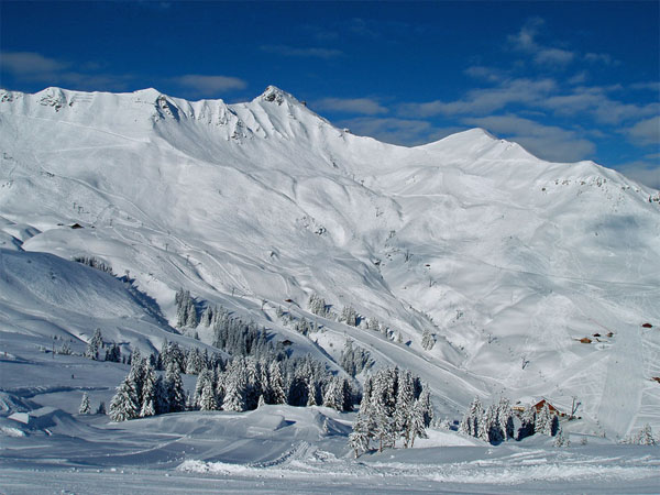 Les Portes du Soleil (CH) Skinet