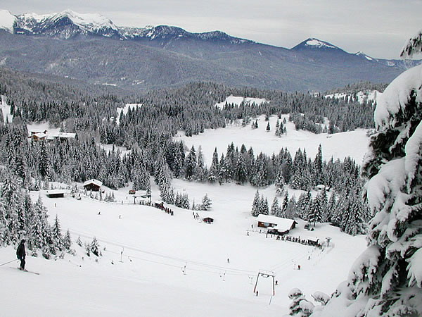 Mittenwald Skinet